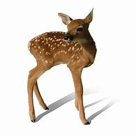 Image result for Deer Transparent Clip Art