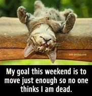 Image result for Lazy Weekend Meme