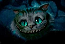 Image result for Tim Burton Themed Cats