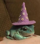 Image result for Cute Red Frog with Hat
