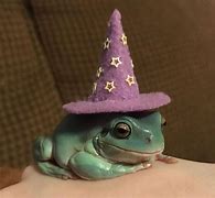 Image result for Frog with Hat