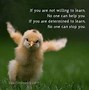 Image result for Baby Bird Quotes