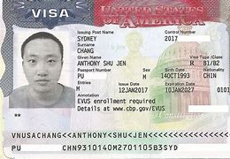 Image result for Work Visa USA