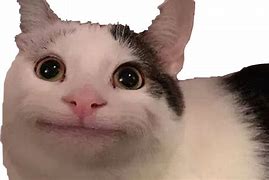 Image result for El Gato Crying Cat Meme