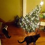 Image result for Cats Destroying Christmas Trees
