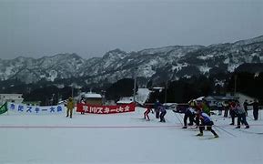 Image result for Sam Hayakawa Ski