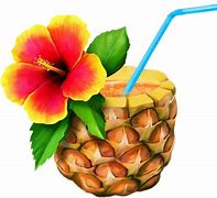Image result for Luau PNG