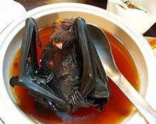 Image result for Palau Bat Soup