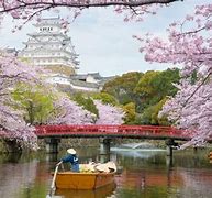 Image result for Japan. Activities