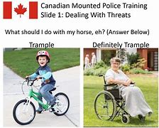 Image result for Mounted Meme