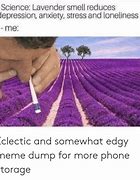 Image result for Stress/Anxiety Meme