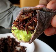 Image result for Chapilines Tacos