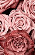 Image result for Soft Pink and Gold Rose Background