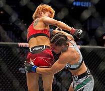 Image result for Na Liang MMA