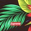 Image result for Hypebeast Wallpaper PC HD