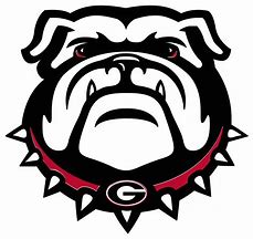 Image result for Georgia Bulldogs Football Game
