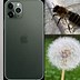 Image result for How Good Is Macro On iPhone