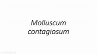 Image result for Moleskine Contagiosum