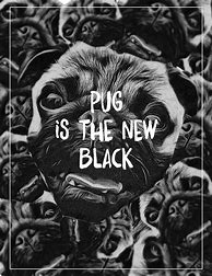 Image result for Doug the Pug New Year's Eve