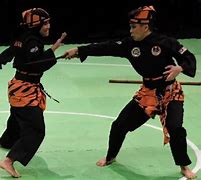 Image result for All Martial Arts Styles