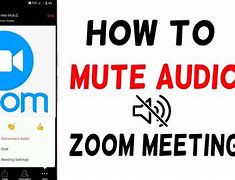 Image result for Zoom On iPhone Mute Button