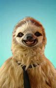 Image result for Funny Sloth Face Clean