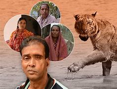 Image result for Local Man Saved by Tiger
