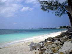 Image result for Hispaniola Beach