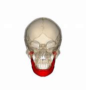 Image result for Jaw Reconstruction