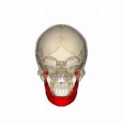 Image result for Jaw Reconstruction Surgery