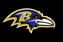 Image result for Ravens Shield Logo
