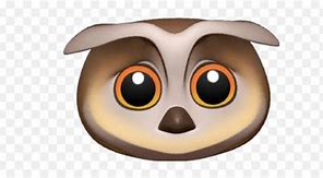 Image result for White Owl Me Moji