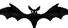 Image result for Evil Bat Free Clip Art