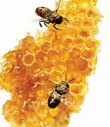 Image result for Pure Honey Labels