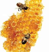 Image result for Honey Aesthetic