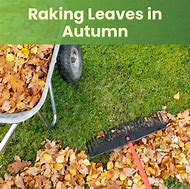 Image result for Raking Leaves Cartoon