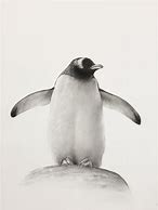 Image result for Drawing of Crazy Penguin