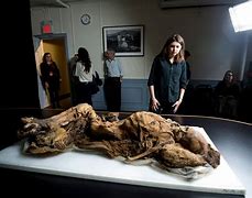 Image result for Greenland Mummies