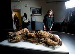 Image result for Natural Mummies