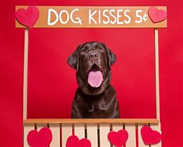 Image result for Dog Memes for Kids