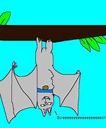 Image result for Albino Bat