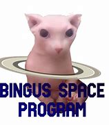 Image result for Bingus Cat in Space