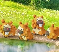 Image result for Enna and Bidoof
