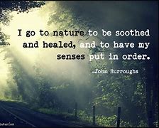 Image result for Quotes About Senses