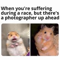 Image result for Sad Hamster Meme