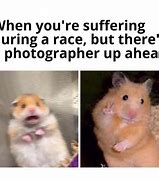 Image result for Sobbing Hamster Meme