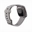 Image result for Fitbit Versa 2 Mist Grey Aluminum Pebble