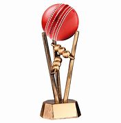 Image result for Test Cricket Trophy