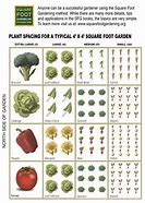 Image result for Square Foot Garden Plots