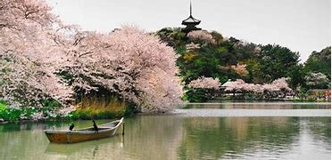 Image result for Things to Do in Yokohama Japan